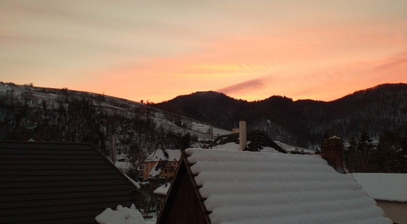 Photo of Sapphire & Oak Leaves