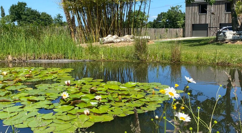 Photo of Flora & Forest