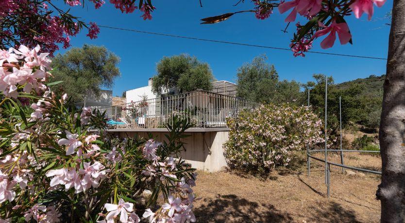 Photo of Maison Olive