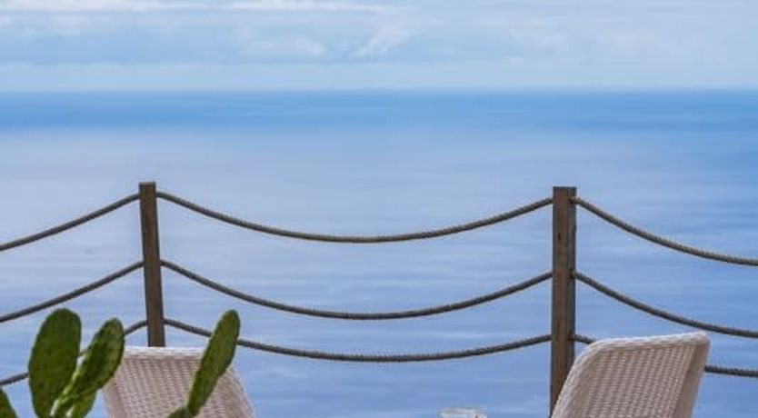 Photo of A Seabird's View