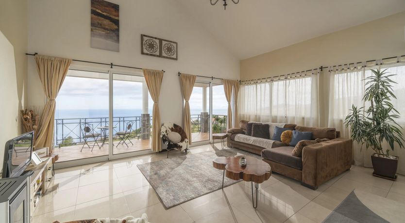 Photo of A Seabird's View