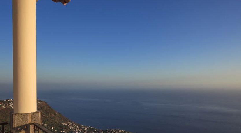 Photo of A Seabird's View