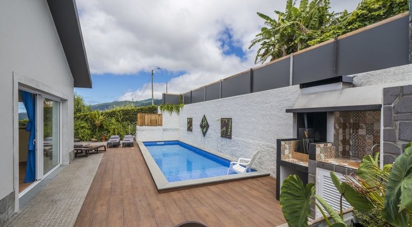 Photo of A Seabird's View