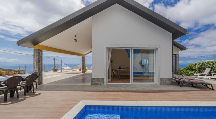 Photo of A Seabird's View