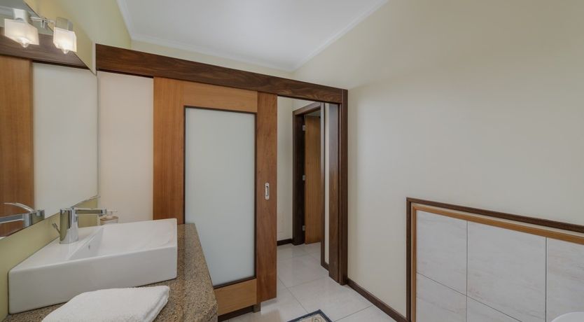 Photo of A Seabird's View