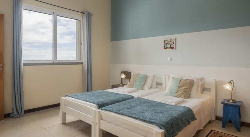 Photo of A Seabird's View