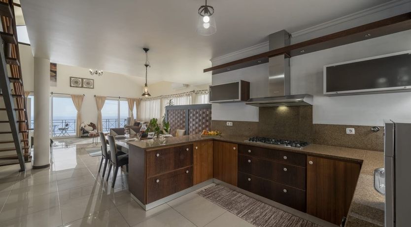 Photo of A Seabird's View