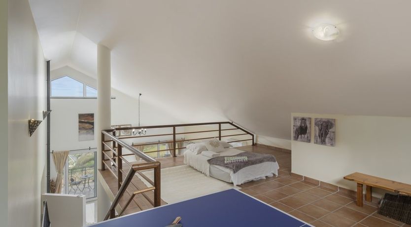 Photo of A Seabird's View