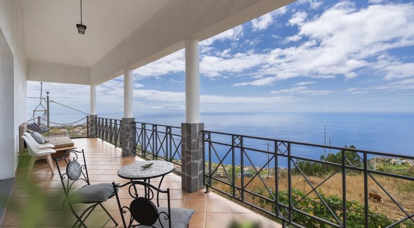 Photo of A Seabird's View