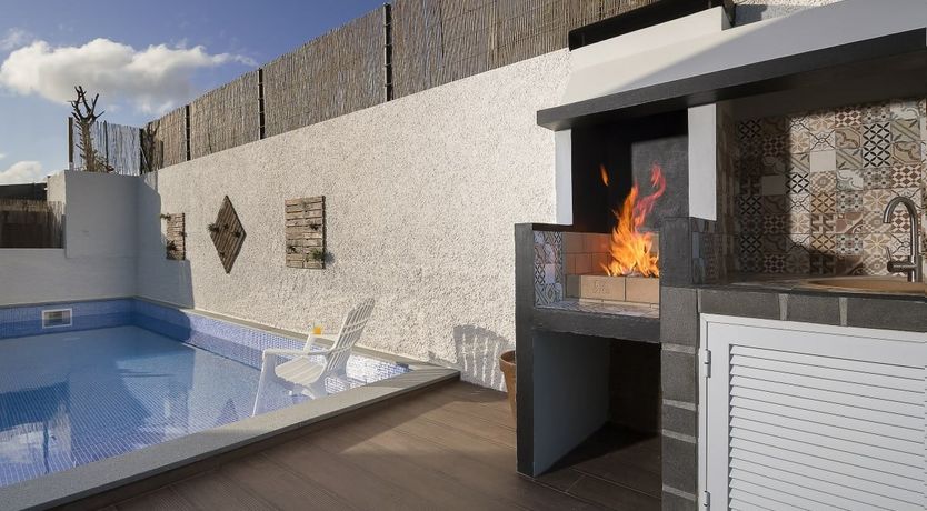 Photo of A Seabird's View