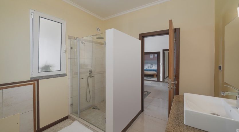 Photo of A Seabird's View