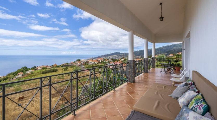 Photo of A Seabird's View