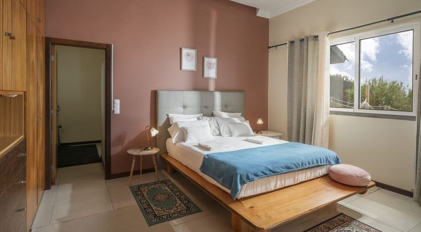 Photo of A Seabird's View