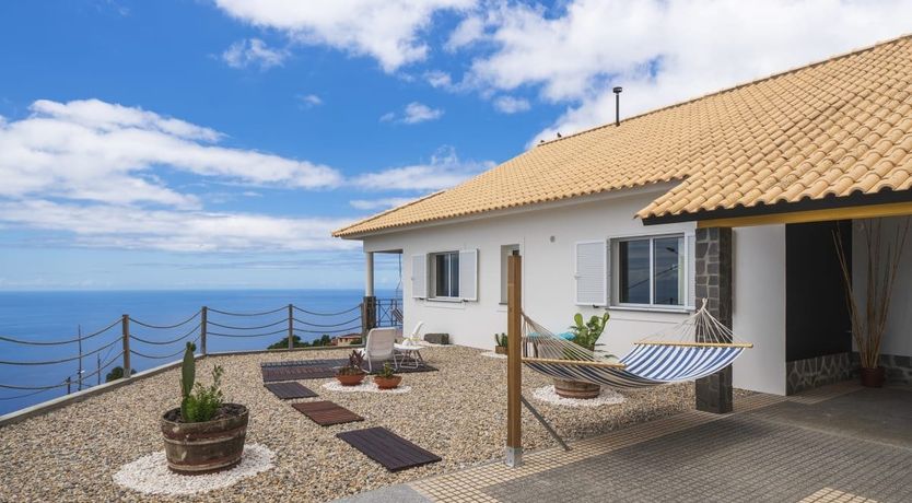 Photo of A Seabird's View