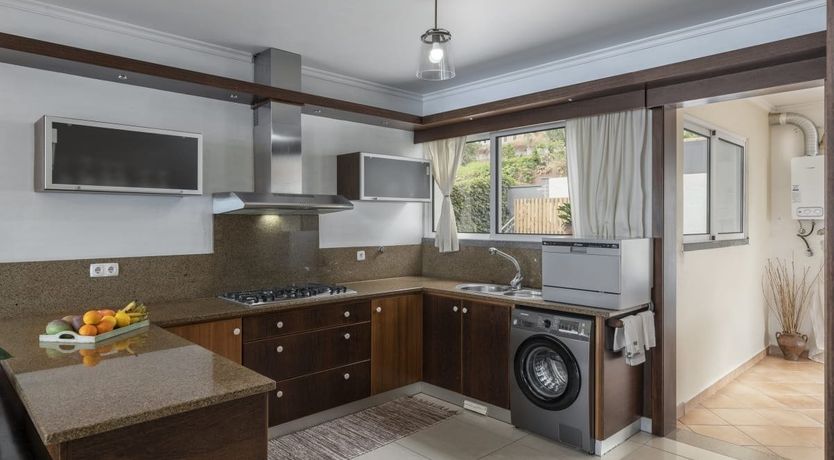 Photo of A Seabird's View