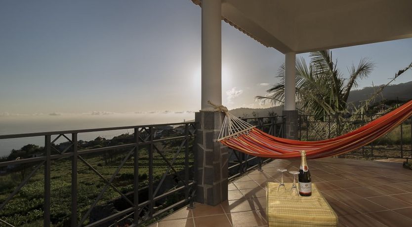 Photo of A Seabird's View