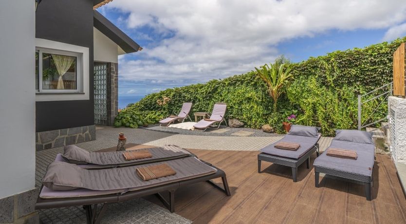 Photo of A Seabird's View