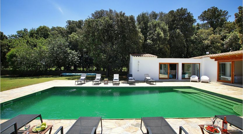 Photo of Cerulean Cool