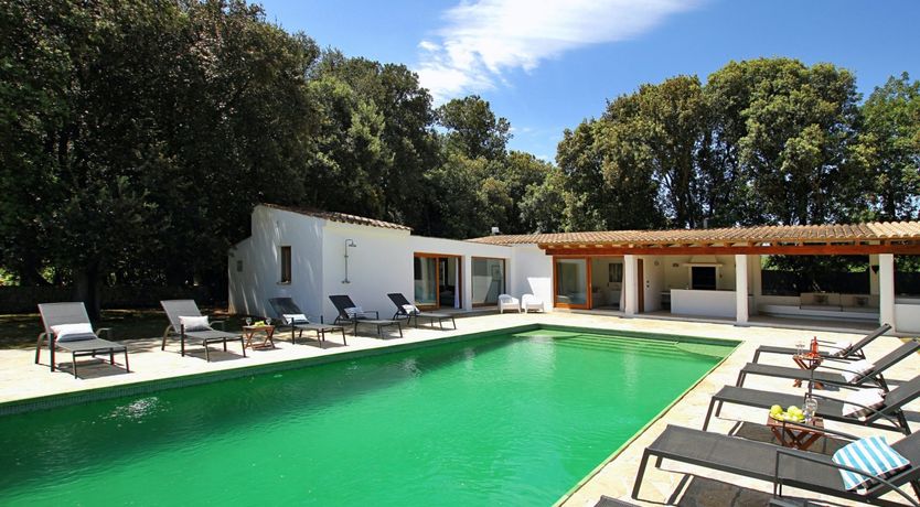 Photo of Cerulean Cool