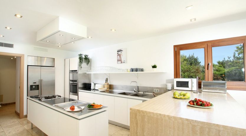 Photo of Cerulean Cool