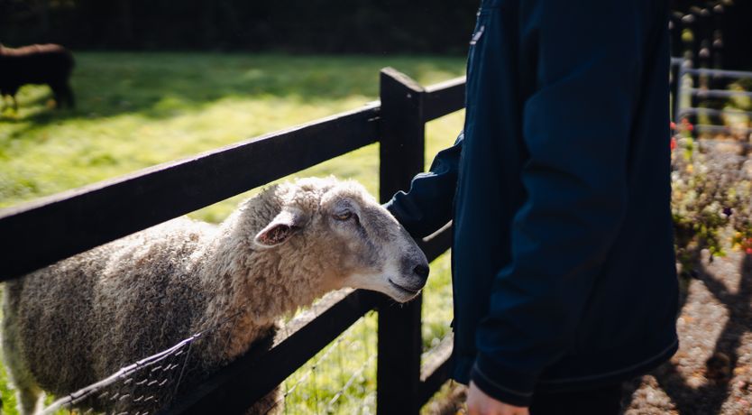 Photo of Coming Up For Air