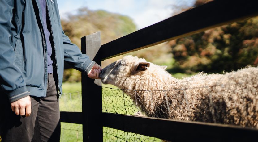 Photo of Coming Up For Air