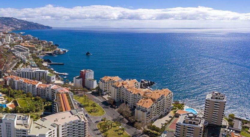 Photo of Sacred Palm Leaves