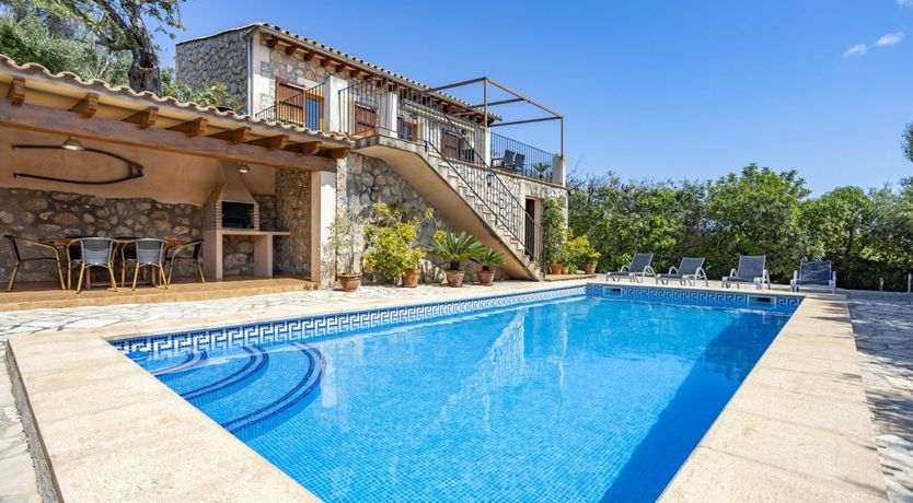 Photo of Spirit of the Trees