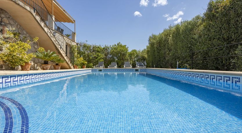 Photo of Spirit of the Trees