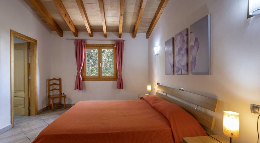 Photo of Spirit of the Trees