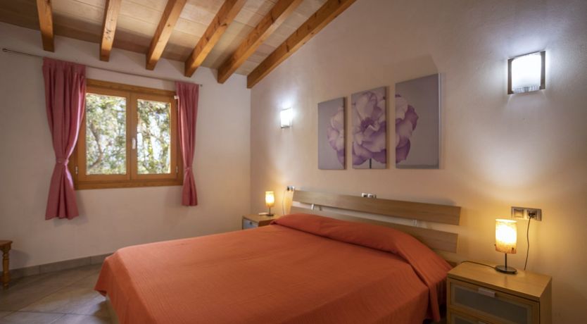 Photo of Spirit of the Trees