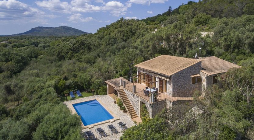 Photo of Spirit of the Trees