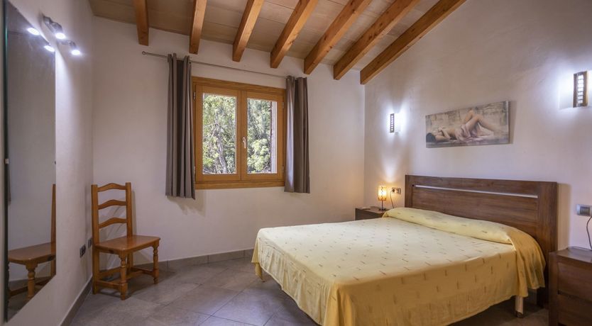 Photo of Spirit of the Trees