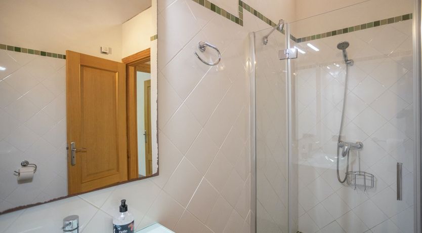 Photo of Spirit of the Trees