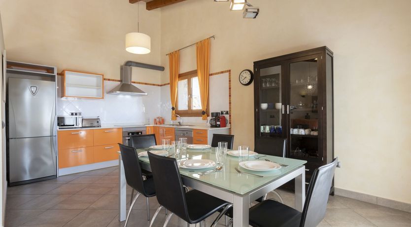 Photo of Spirit of the Trees