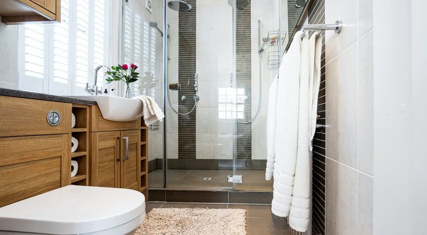 Photo of Shine a Light on Nature