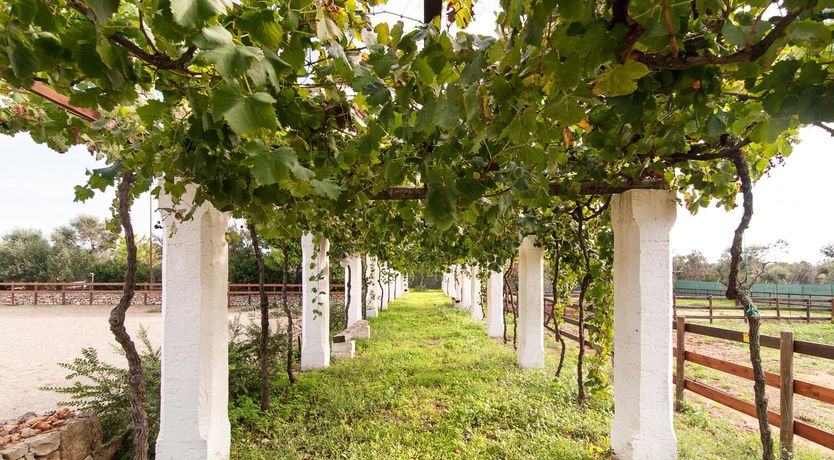 Photo of Trullo Torre Suda