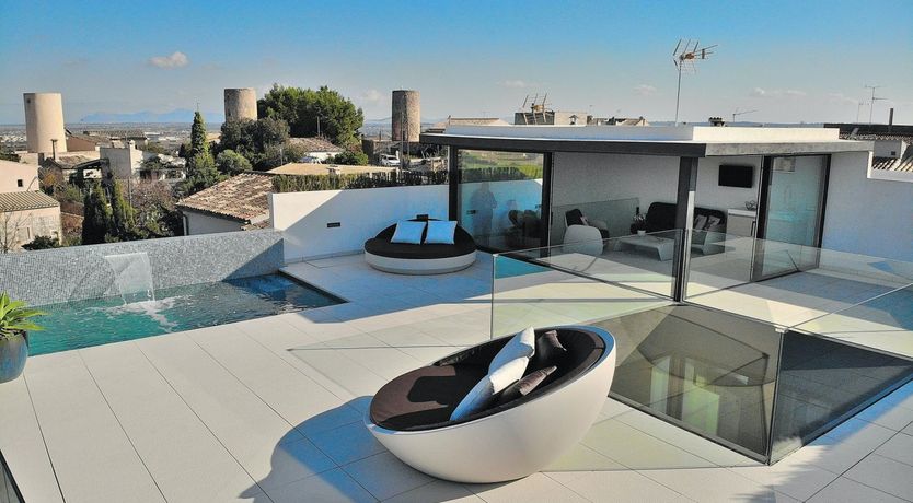 Photo of Olive Branches