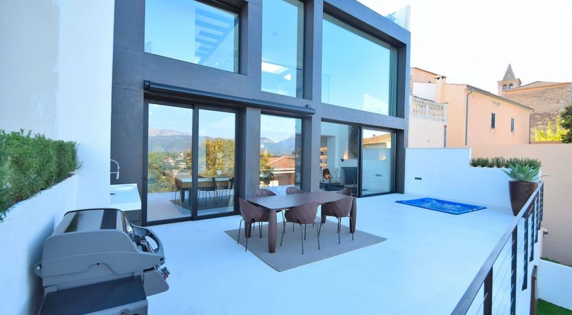 Photo of Olive Branches