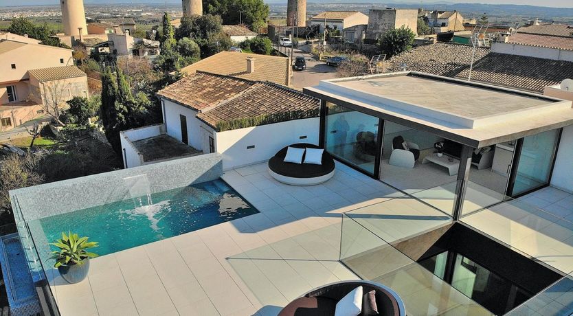 Photo of Olive Branches