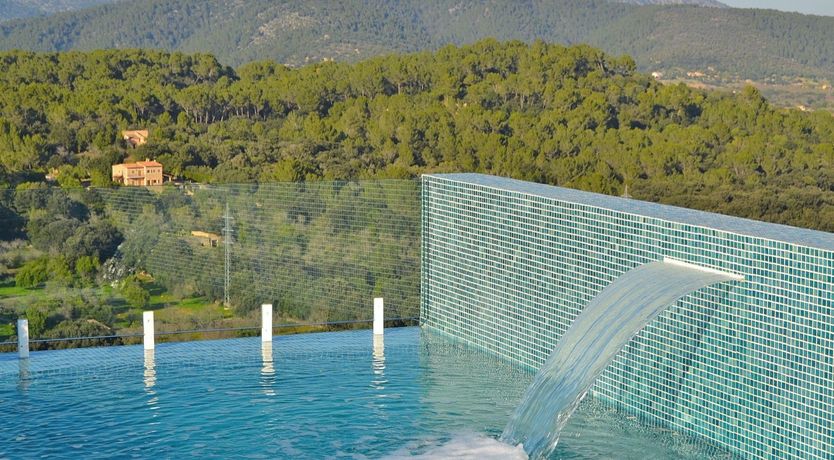 Photo of Olive Branches