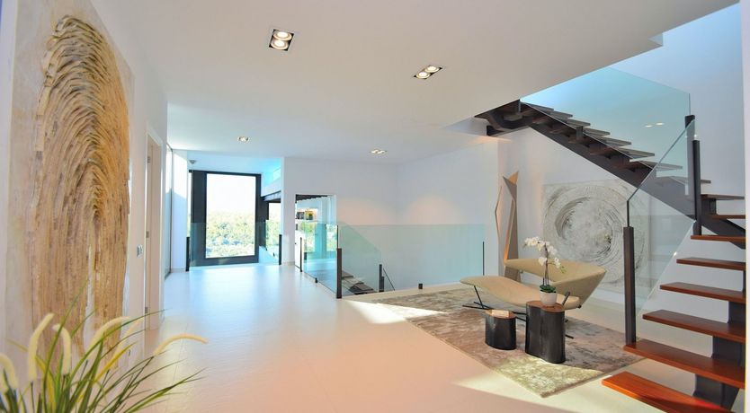 Photo of Olive Branches