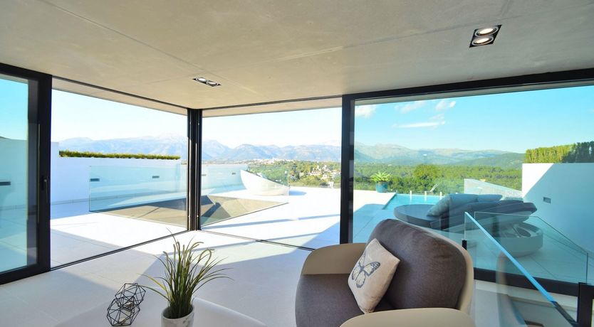 Photo of Olive Branches