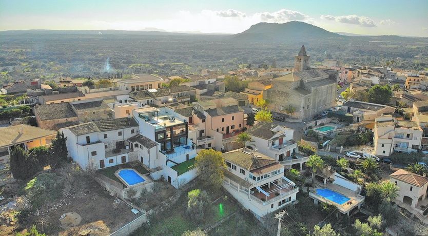 Photo of Olive Branches