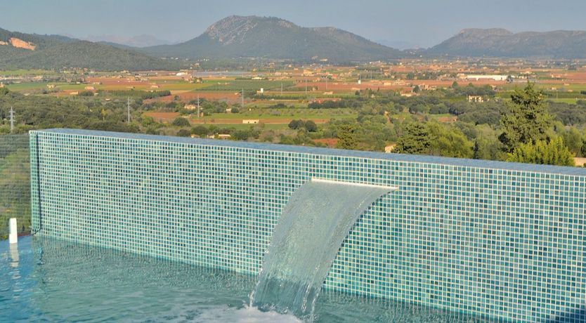 Photo of Olive Branches