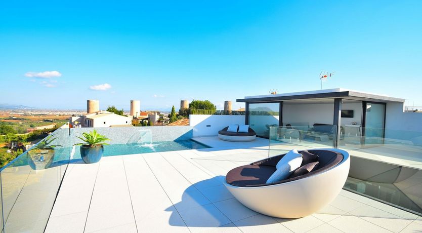 Photo of Olive Branches