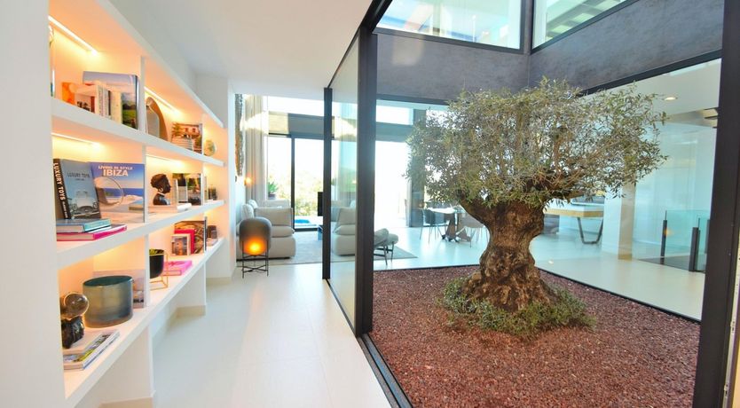 Photo of Olive Branches