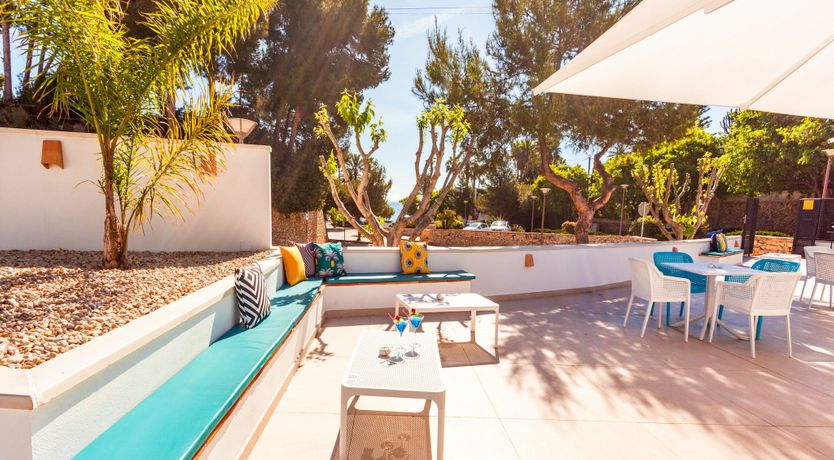 Photo of Gladiolus in Bloom