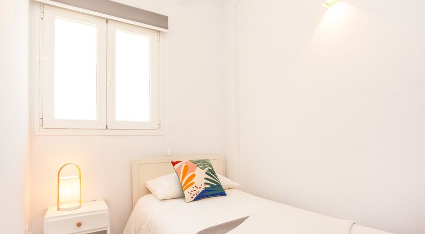 Photo of Gladiolus in Bloom