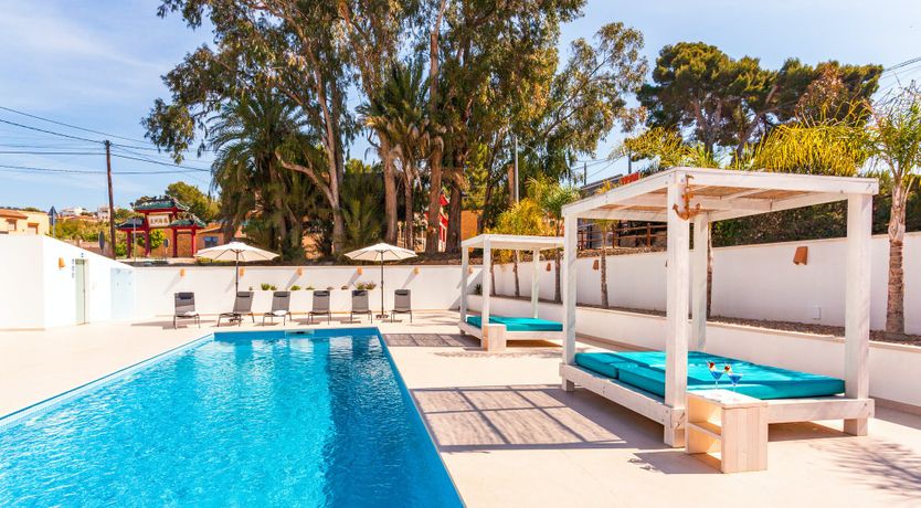 Photo of Gladiolus in Bloom